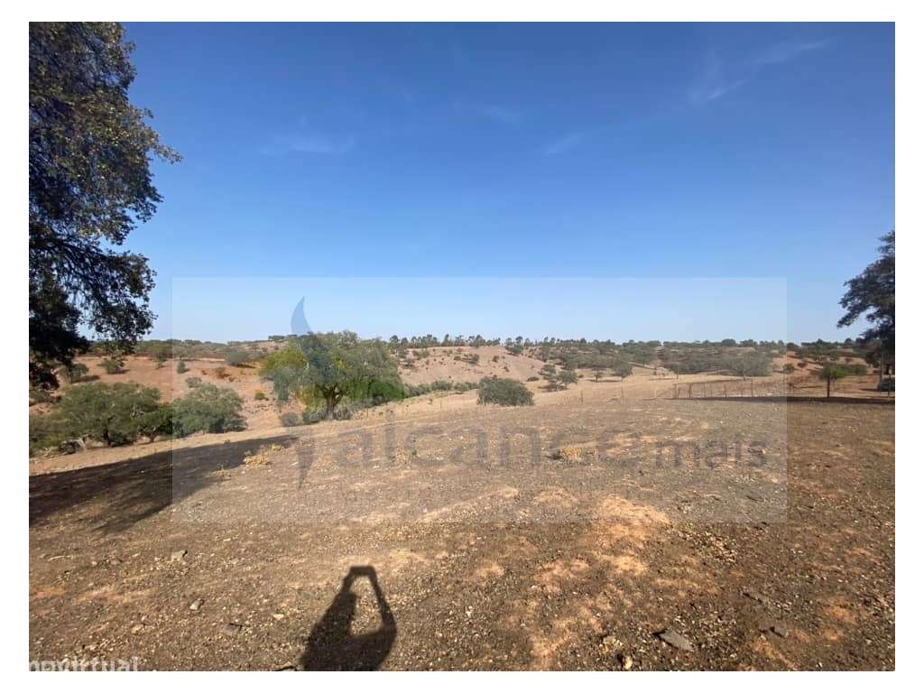 Propriedade de 35 ha - com Monte em Ruínas em Serpa-15