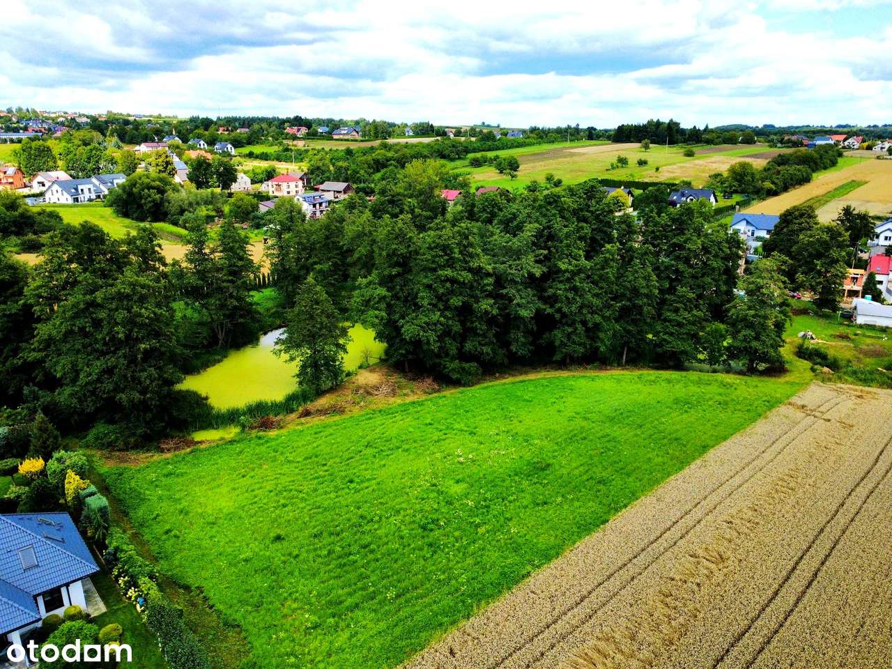 Wyjątkowa działka 81 ar | Przybysławice | staw, zieleń, media, MPZP-12