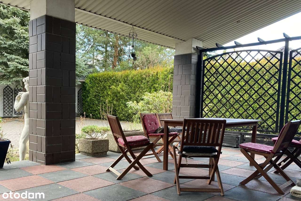 Prywatny Raj do wynajęcia - Super cena!!!! - Pełny obrazek: 4/20