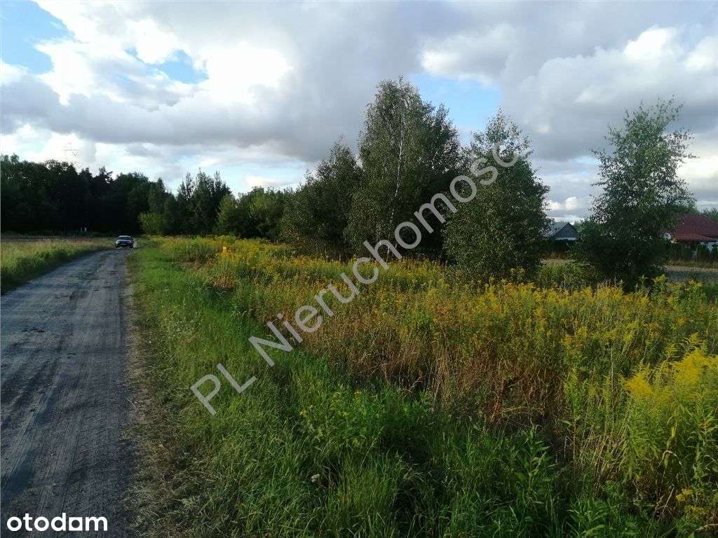 Nieduża działka budowlana na uboczu-3