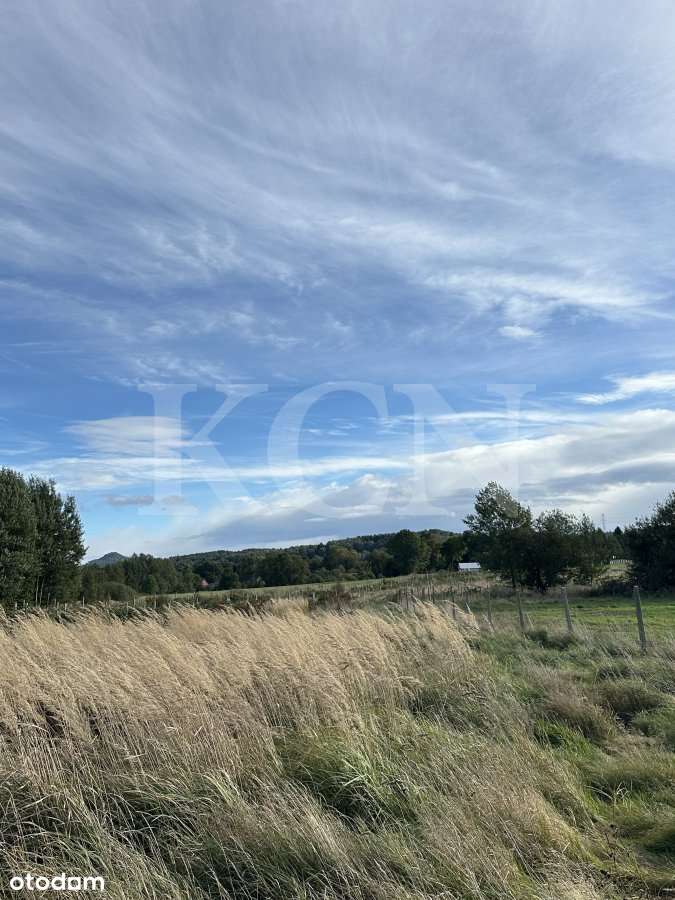 Działka "na odludziu" w miejscowości Dłużec - Pełny obrazek: 4/12