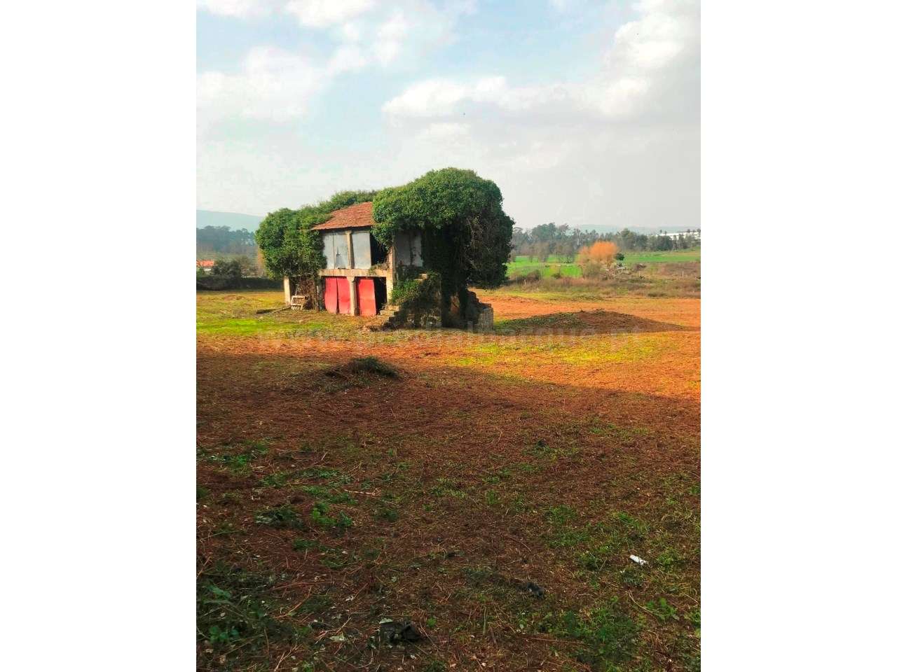 Quinta em Barcelos - Grande imagem: 2/5