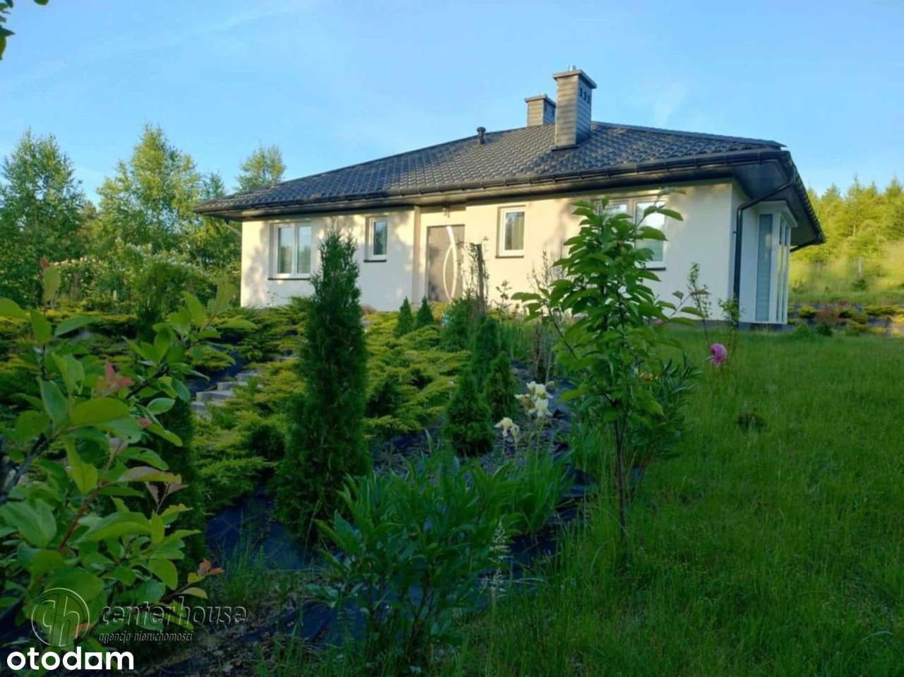 Hermanowa- parterowy dom wolnostojący dz. 12.13ar-0