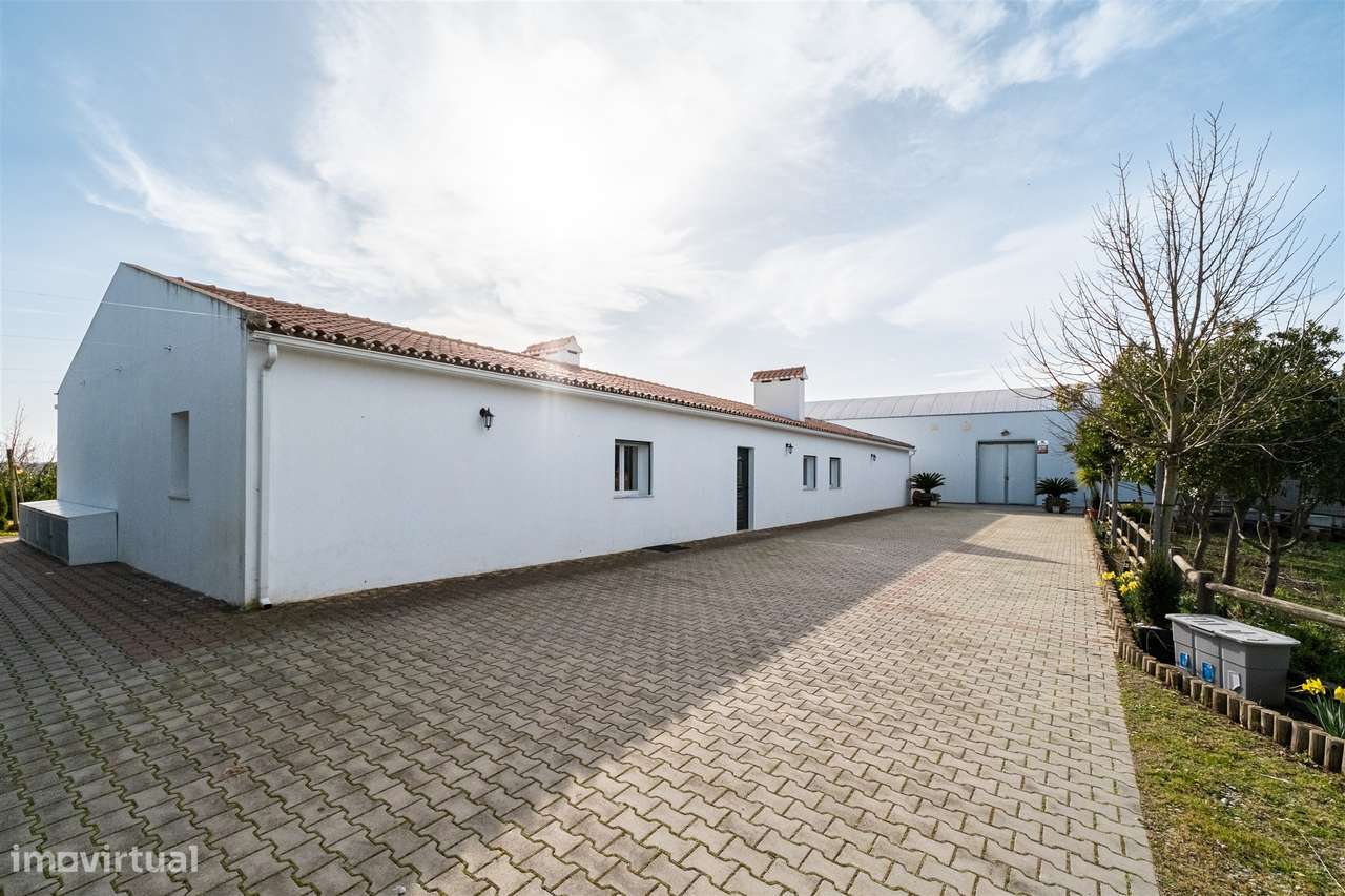 Quinta Biológica - Monte de Palma em Sao Manços com negócio.-48