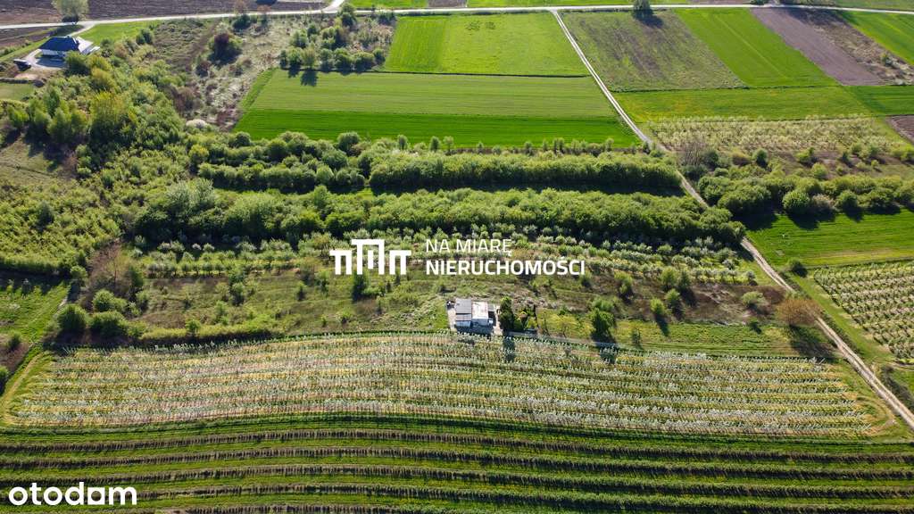 Działka w Sandomierzu | 37.9 a | Piękna okolica - Pełny obrazek: 4/9