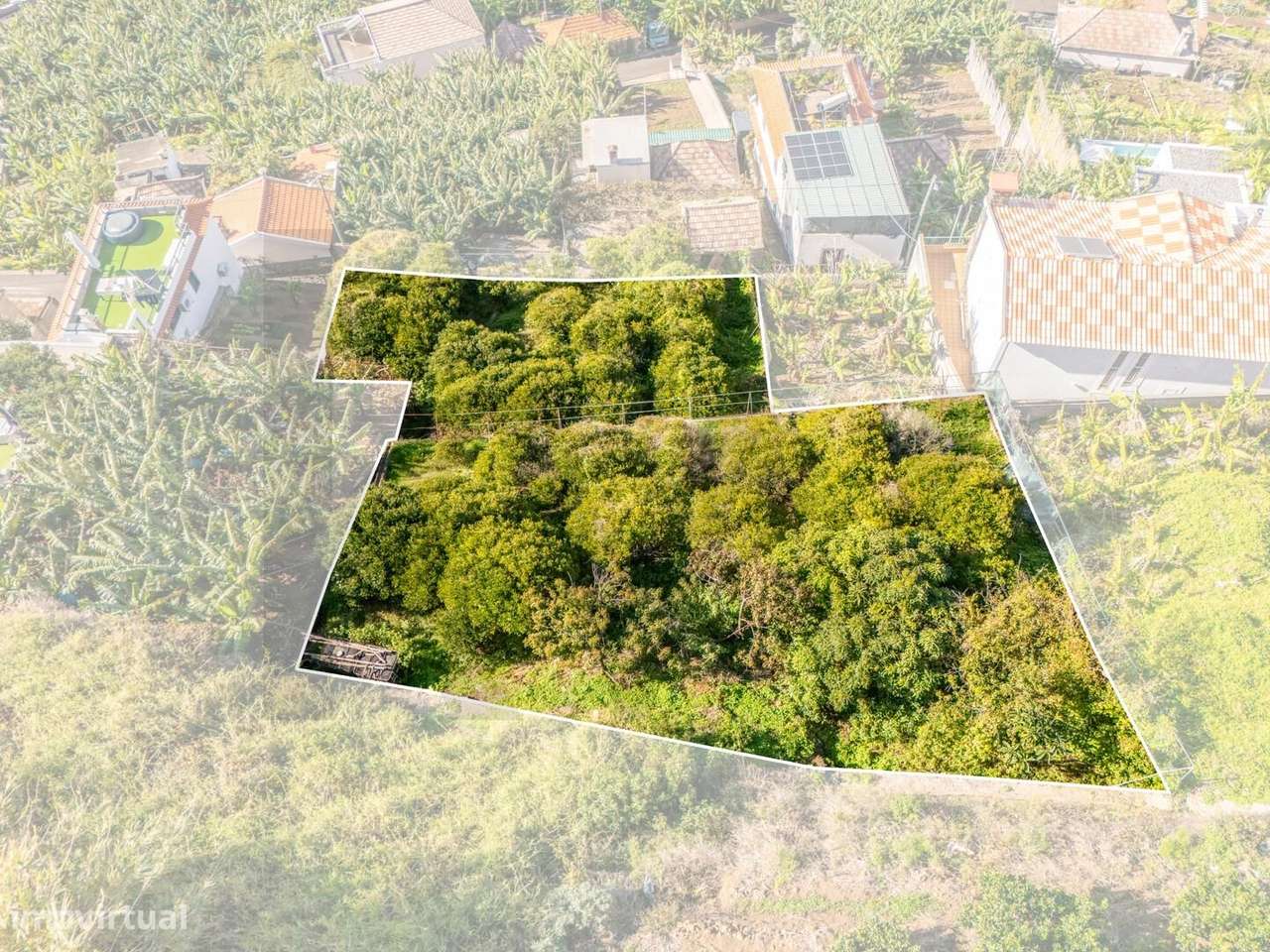 Terreno para construção - com 790m2 na Ponta do Sol - Grande imagem: 5/19