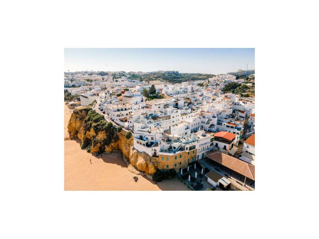 Editar-20
