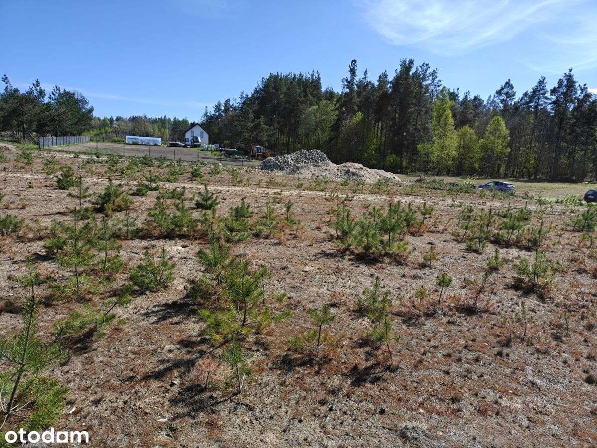 Sprzedam działkę budowlaną w Linii ul.Świerkowa-1