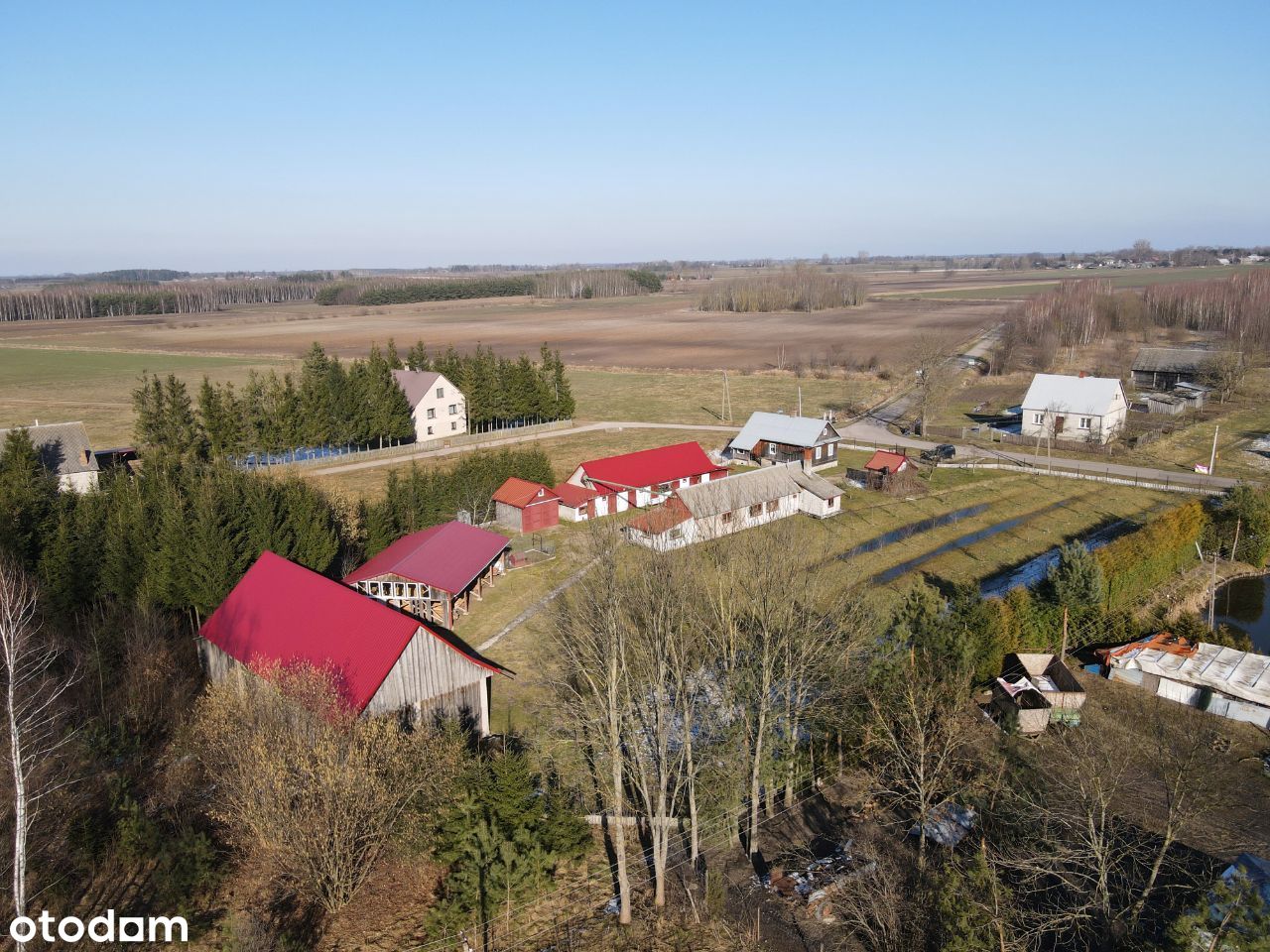 Siedlisko 1,5ha - las, łąka - zakład stolarski!