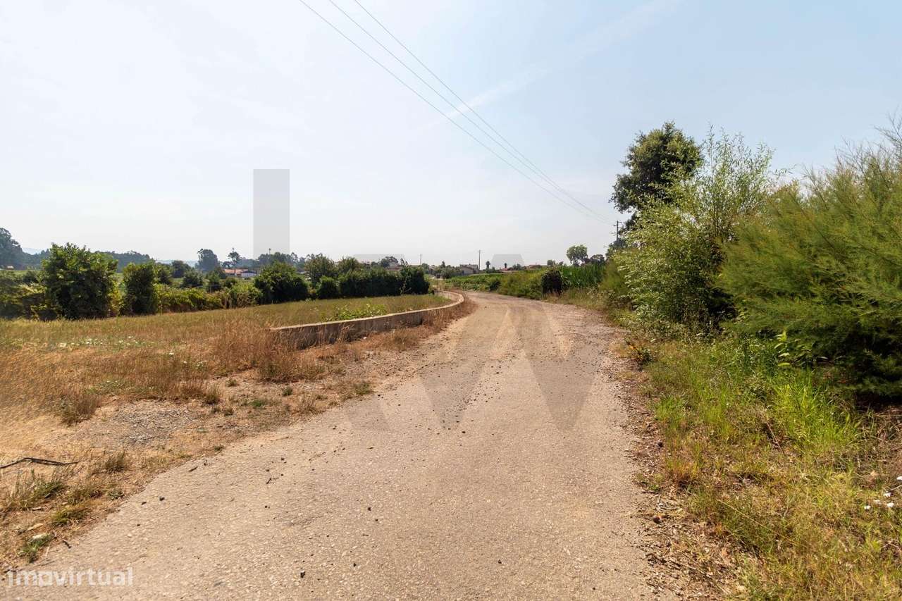 Terreno com Excelente Potencial para Construção – Beduído, Estarreja-20