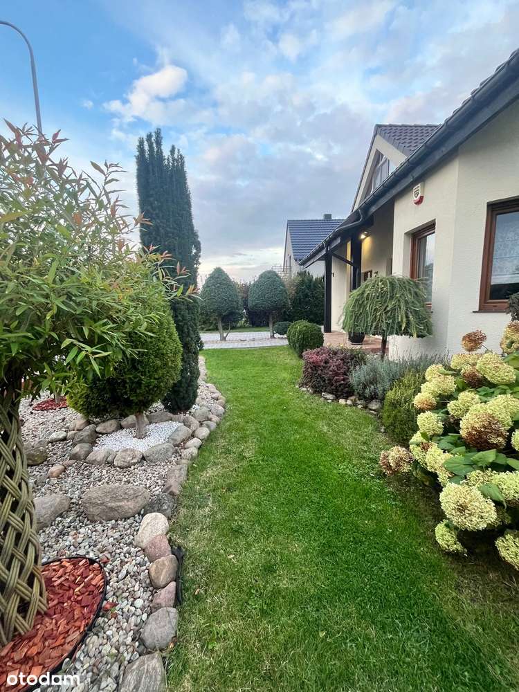 Nieciszów / Ekonomiczny / Piękny Ogród-2