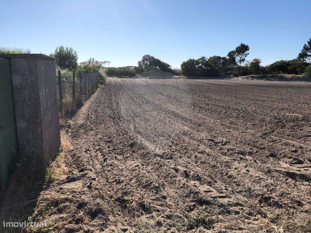 Terreno T0 para venda - Grande imagem: 5/10