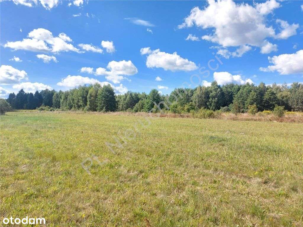 1,5 ha budowlana- dobra inwestycja! Okazja Cenowa! - Pełny obrazek: 4/9