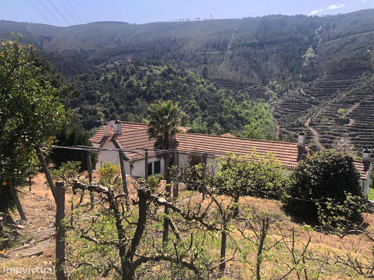 Quinta espetacular na região do vinho verde em plena produção-36