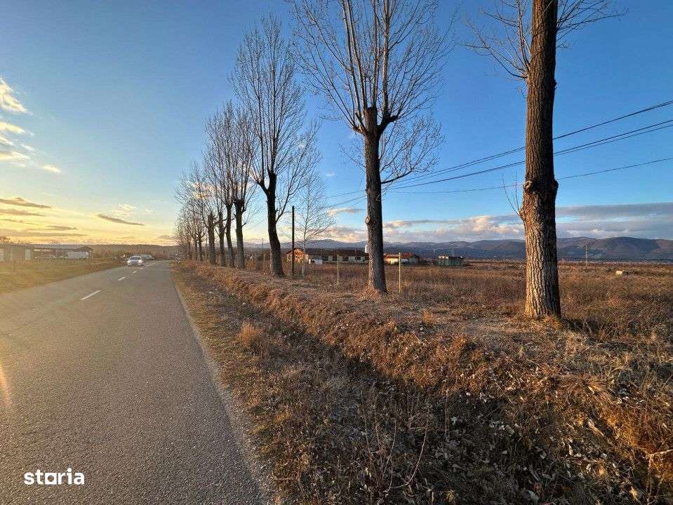 Teren 2,5 - infrastructura industriala si hala functionala - Imagine principală: 1/7