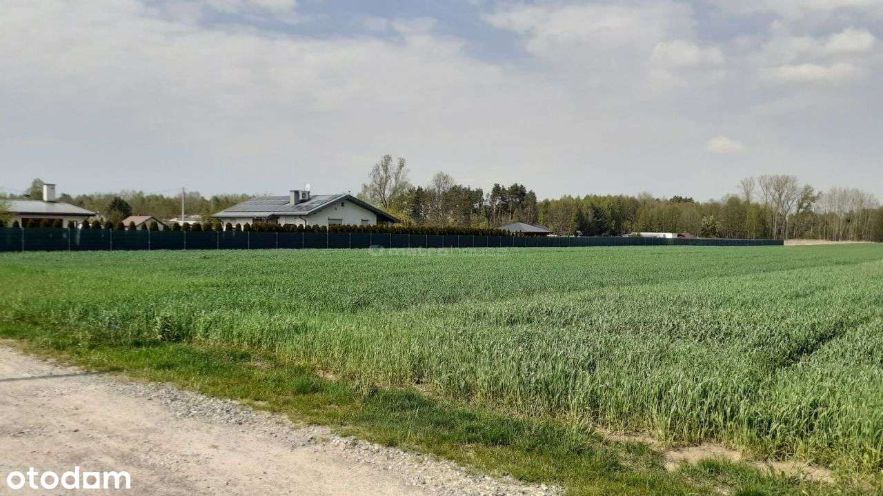 Działka, 10 006 m², Łęki - Pełny obrazek: 5/13