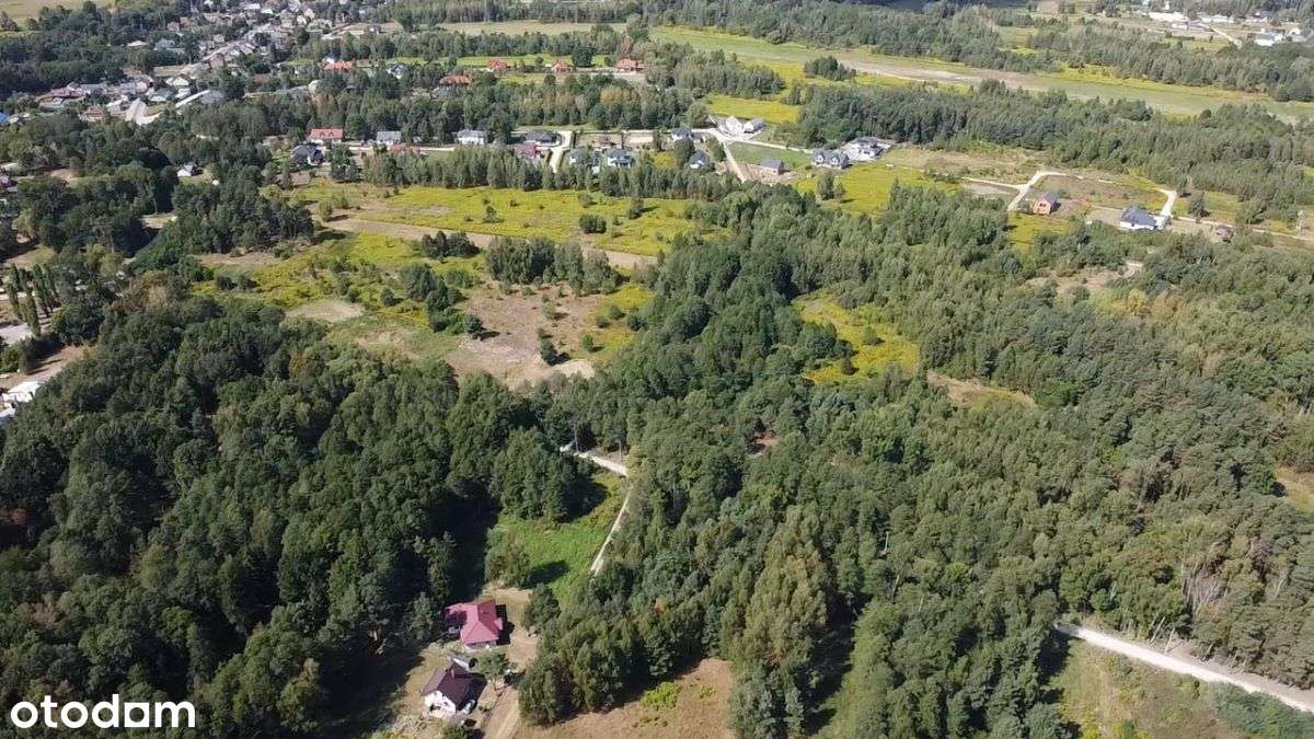 Działki budowlane w otoczeniu drzew-4