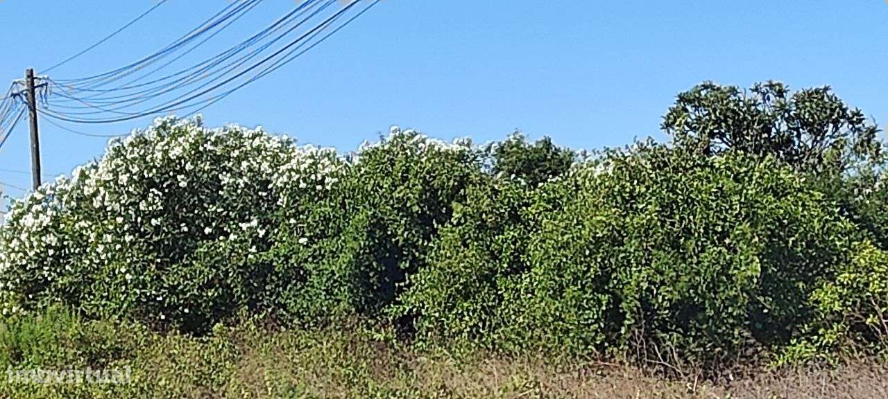 Fantástica Moradia T4 Nova RESERVADA-12