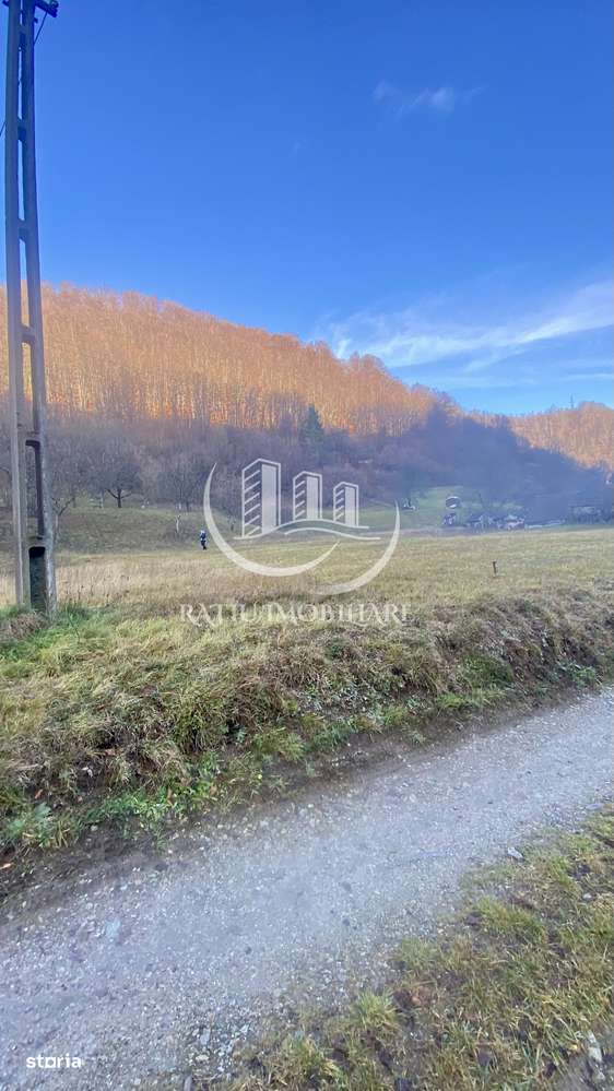 OPORTUNITATE DE INVESTIȚIE | TEREN INTRAVILAN | 1.500 MP | APROAPE DE - Imagine principală: 4/10