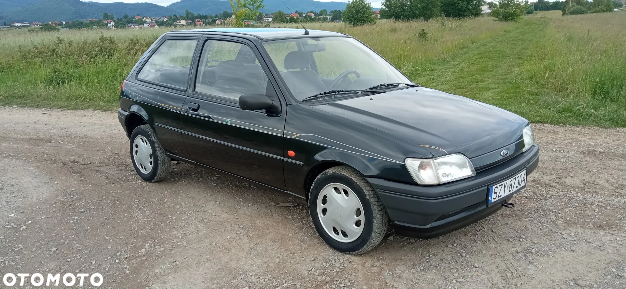 Ford Fiesta - 23