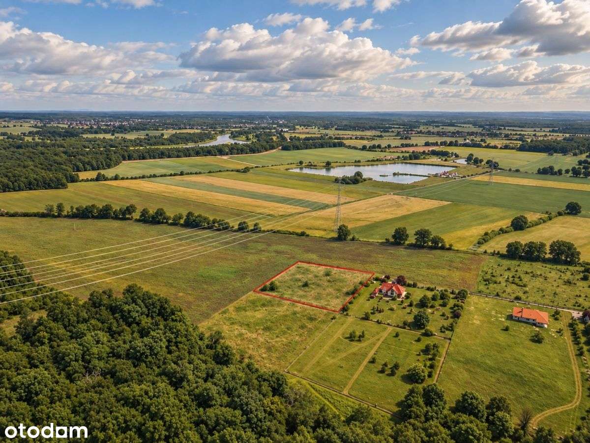6500 m² w Zaborze Wielkim – las, przestrzeń, WZ-5