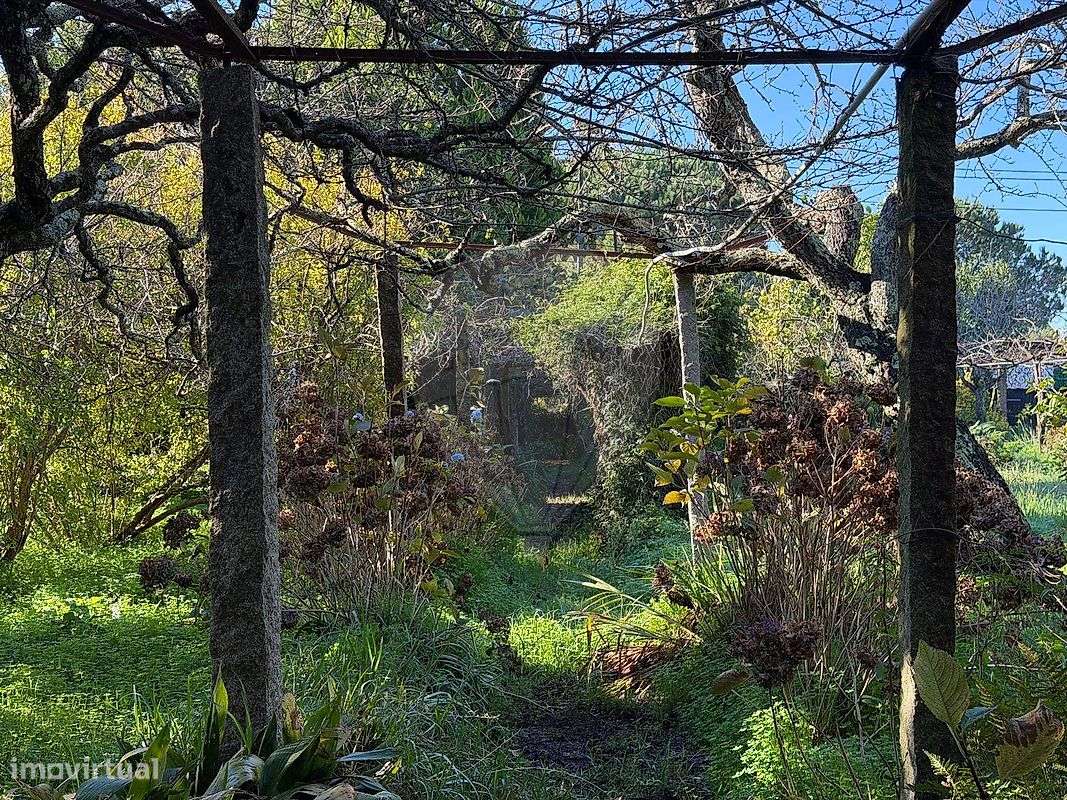 Terreno  para venda - Grande imagem: 5/6