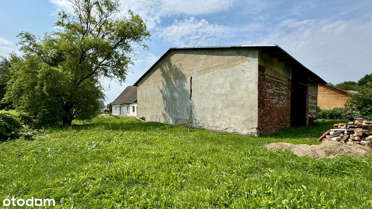 Na sprzedaż dom do remontu – Skarbiszów, 10 km od Opola - Pełny obrazek: 5/18