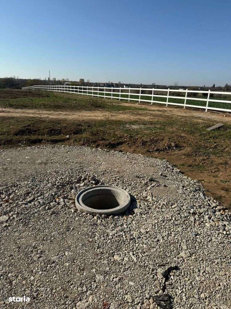 Lot de teren, padurea Snagov - Ciolpani - mega reduceri de pret!-3