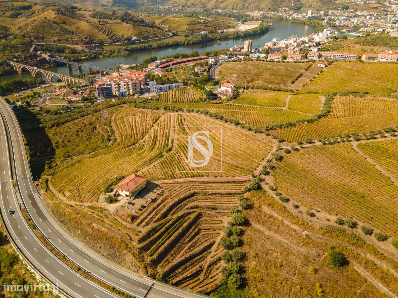 Quinta em Peso da Régua-16