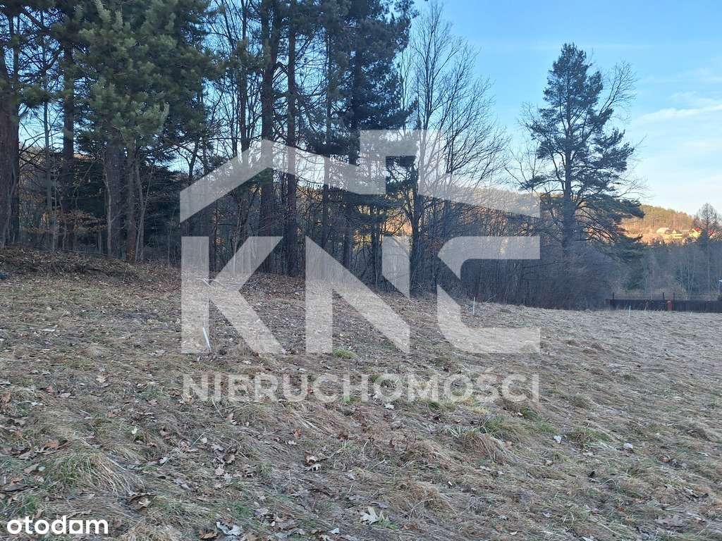Działka przy lesie – Krzeszów – idealna pod domek! - Pełny obrazek: 2/6