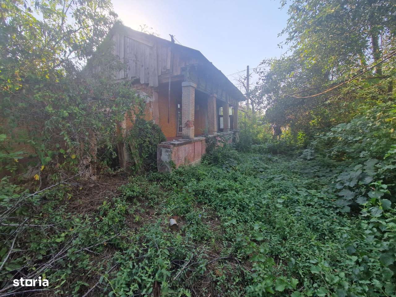 Cornetu - str. Garoafei, vanzare teren intravilan 1.600mp, stradal-12