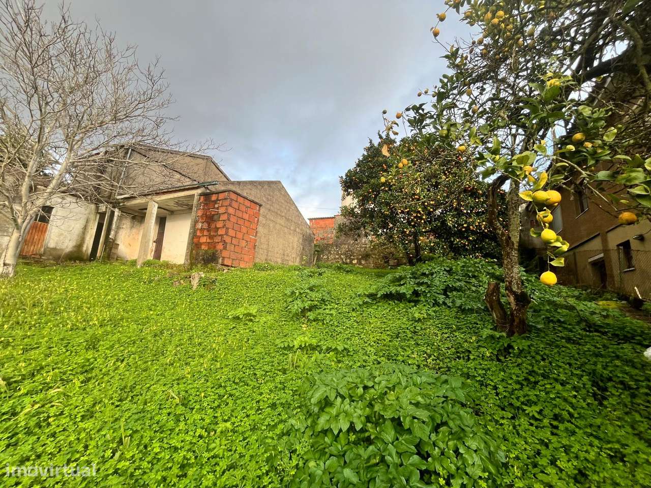 Terreno de 601 m2 com moradia T5 em Santa Clara, Coimbra - Grande imagem: 3/27