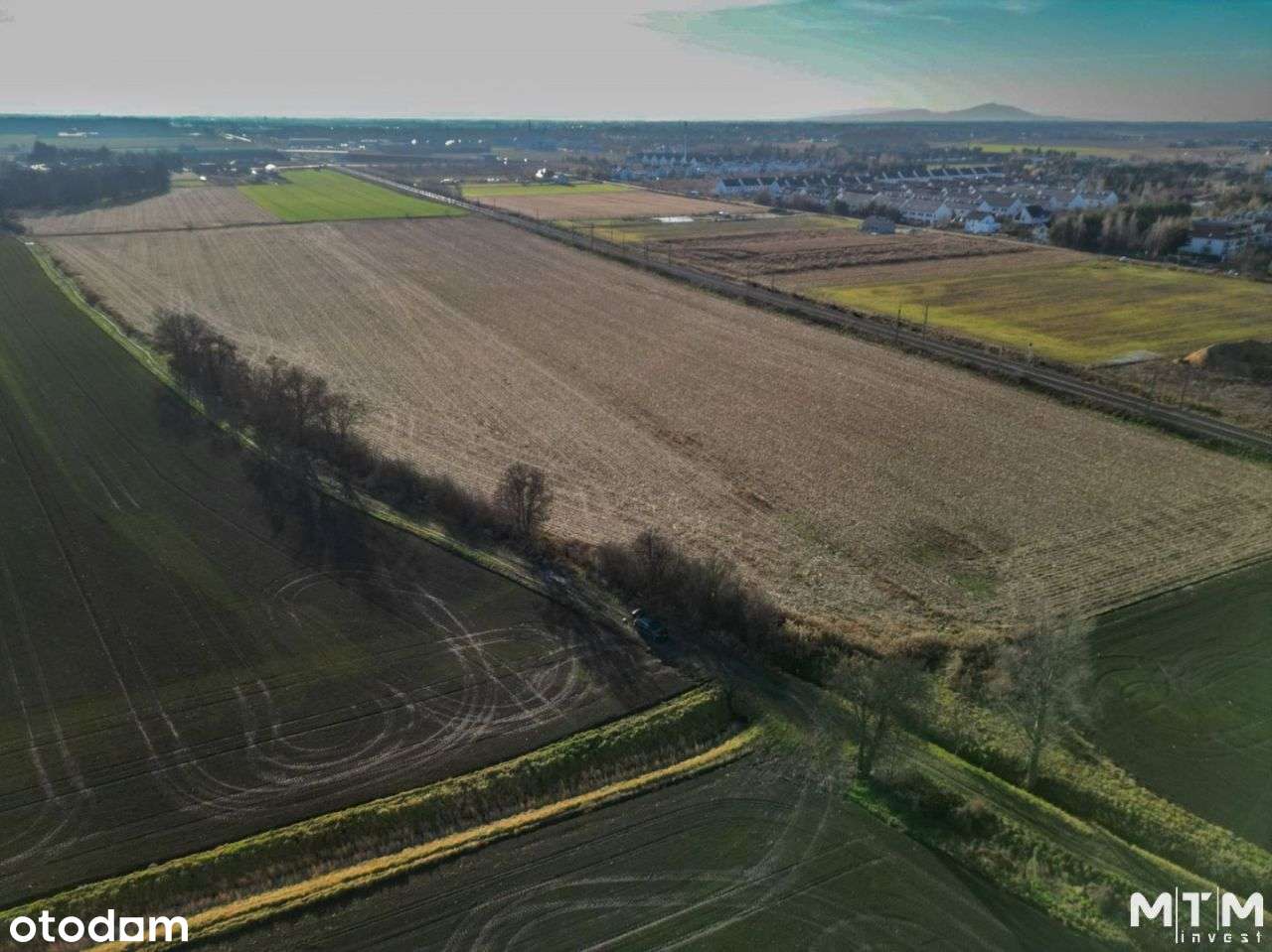 Działka, 9 878 m², Iwiny - Pełny obrazek: 5/11