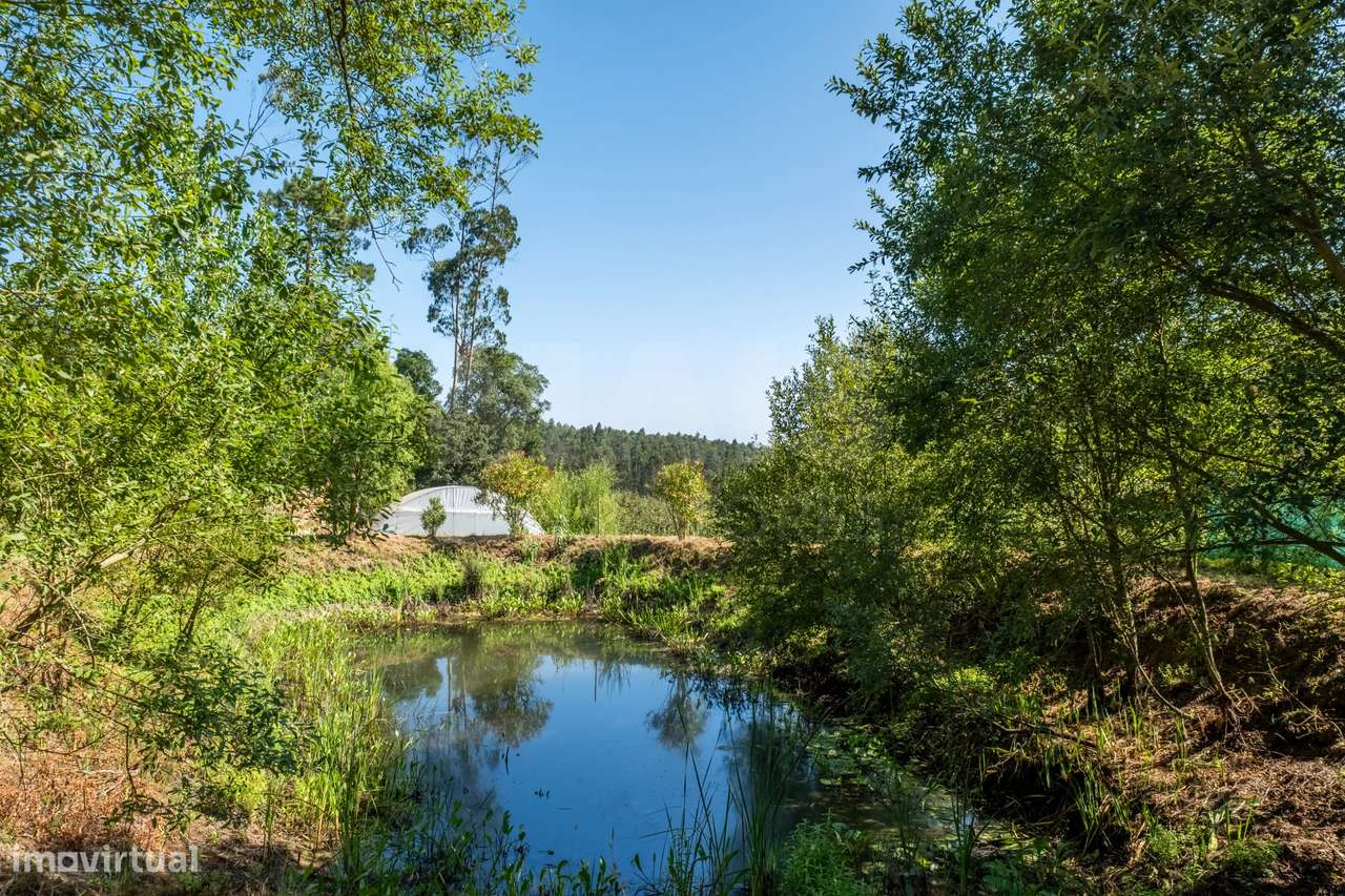Terreno Agrícola na Fanadia | 16.100 m² de Potencial e Infraestrutu...-11