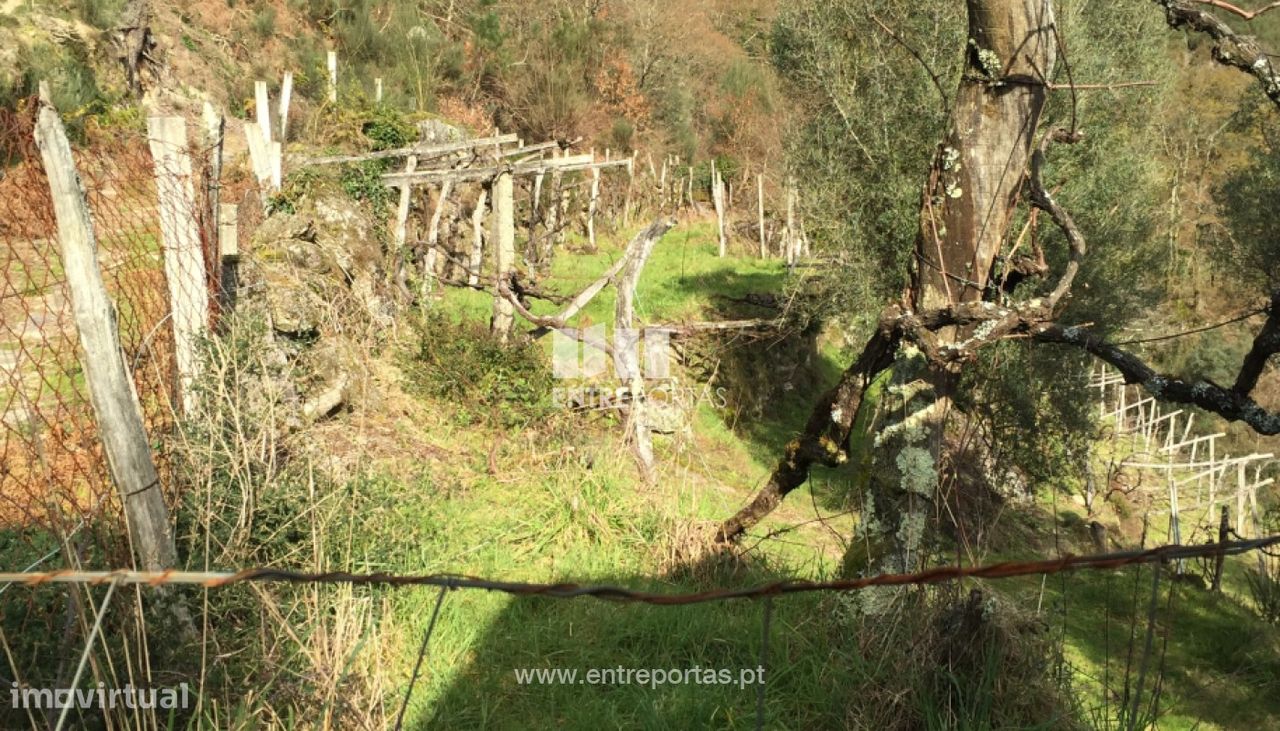 Venda de Terreno de construção, Grade, Arcos de Valdevez. - Grande imagem: 1/26