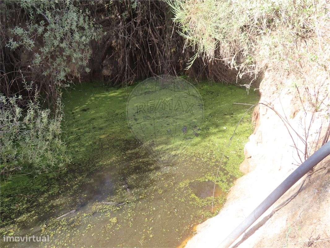 Quinta  para venda - Grande imagem: 3/25