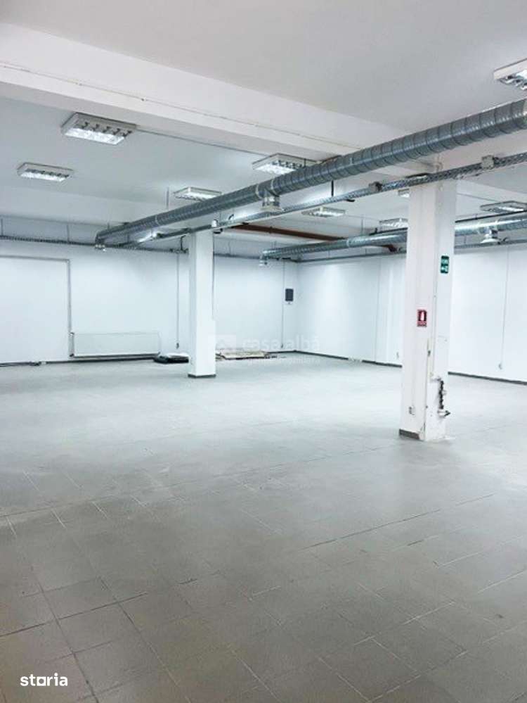 Spatiu de productie, 300mp, amenajat, zona Tatarasi - Imagine principală: 1/5