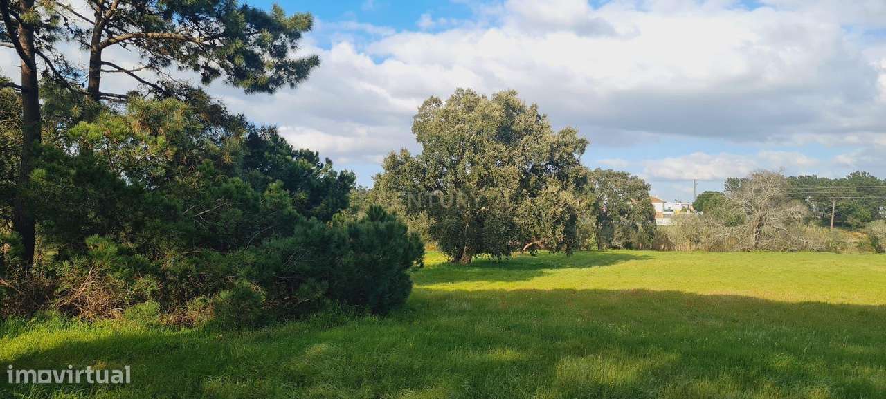 Terreno Amplo em Zona Tranquila com Potencial Agrícola Próximo das Pra-4