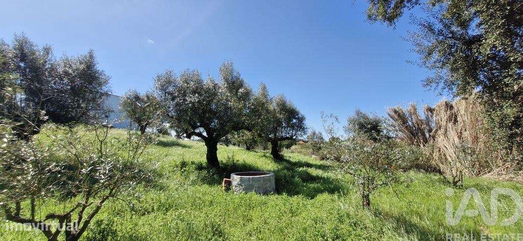 Terreno em Fráguas de 165,00 m2 - Grande imagem: 5/30