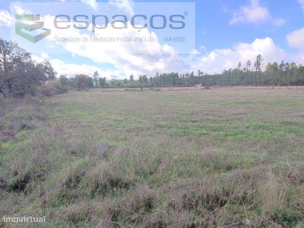 Terreno rústico a confinar com pequeno ribeiro - Sarzedas - Grande imagem: 5/17