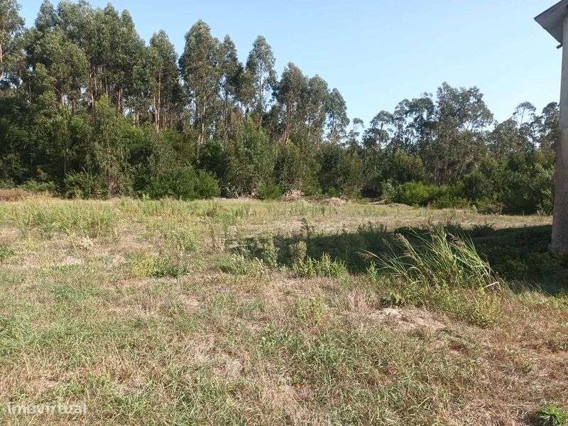 A quinta dos seus sonhos - Grande imagem: 4/8