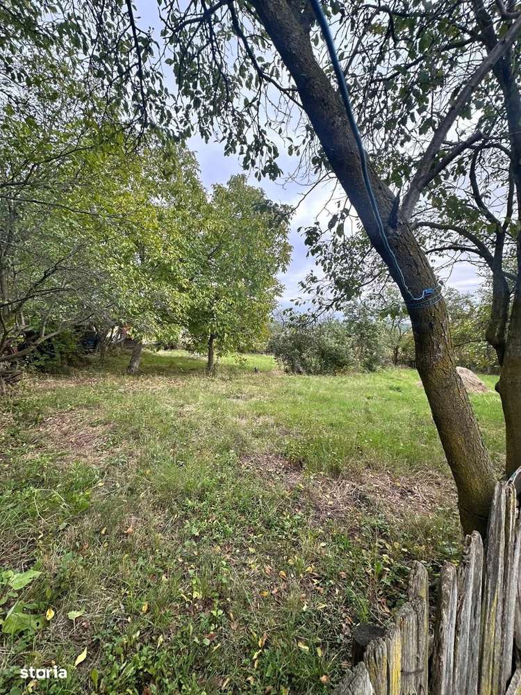 De vanzare casa batraneasca, teren 2600 mp, pret 13.000 euro - Imagine principală: 5/10