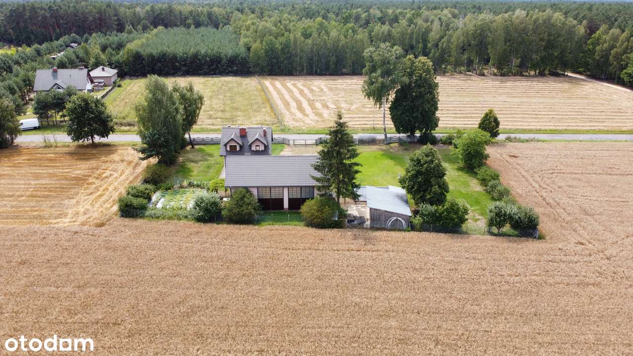 Działka inwestycyjna 15,5 ha – S19, Międzyrzec, Siedlce, Biała Podl. - Pełny obrazek: 5/14