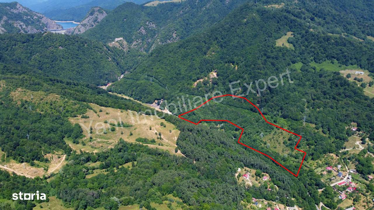 Teren de vânzare pe Transfăgărășan ( 75.200 mp ) - Imagine principală: 3/18