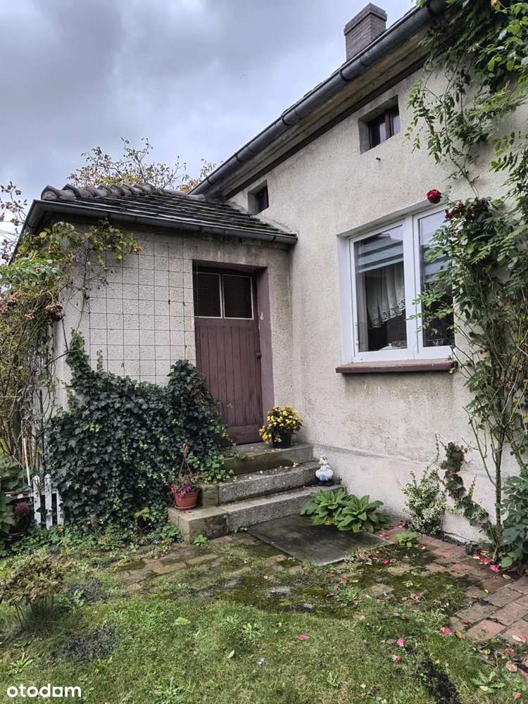 Dom z gruntem 1,6 ha  i pod działalność– Budziechów-3