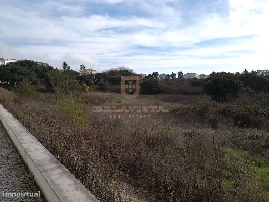 Terreno industrial - comercial - Entroncamento-2