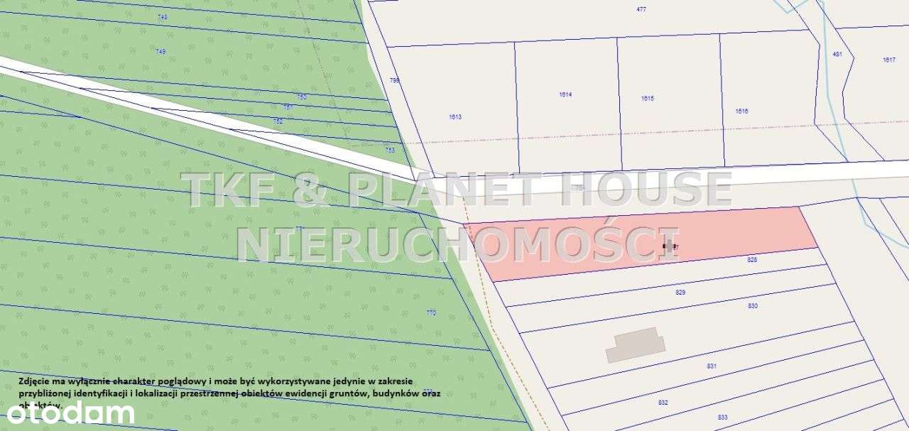 Działka 1600m2 Karwice gm Opoczno - Pełny obrazek: 5/5