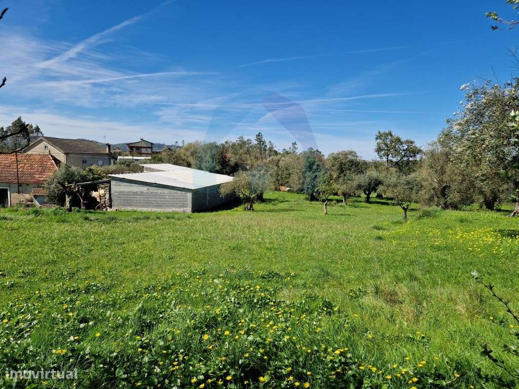 Ruína em Pedra e Terrenos com Viabilidade de Construção - Pombal-10