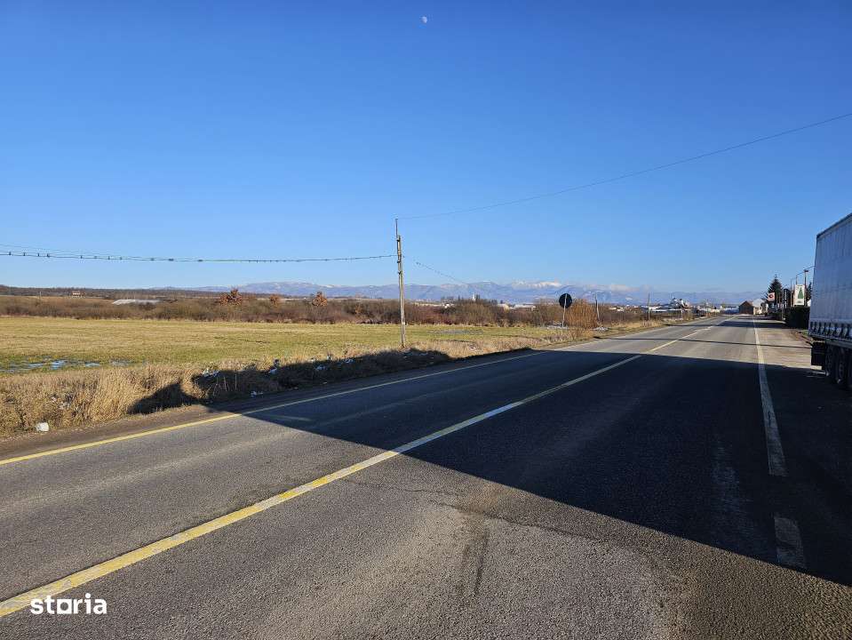 Teren extravilan - constructii, suprafata 49.933 mp, drumul E79, Beius - Imagine principală: 5/10