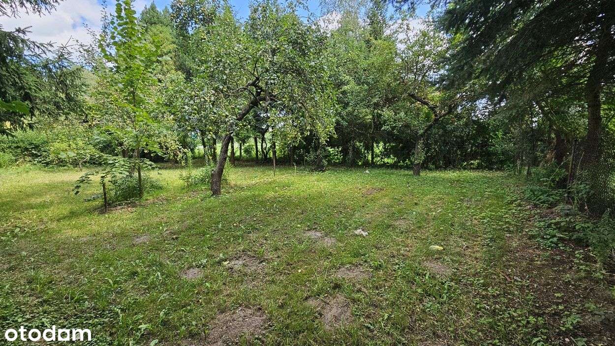 Dom na sprzedaż - Nowy Dwór Elbląski - Pełny obrazek: 5/20